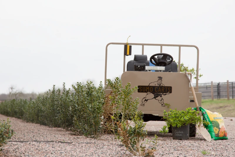 sumo utility cart for tree farms and nurseries